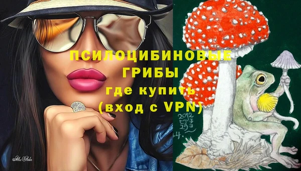 скорость Коряжма
