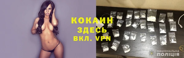 шишки Козельск