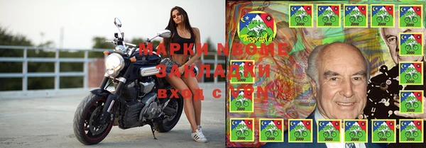 шишки Козельск