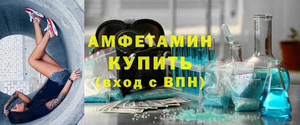 прущие грибы Новосибирск