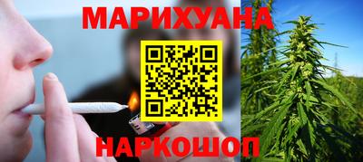 сатива Кингисепп