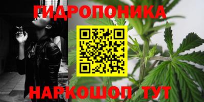 ECSTASY Отрадное