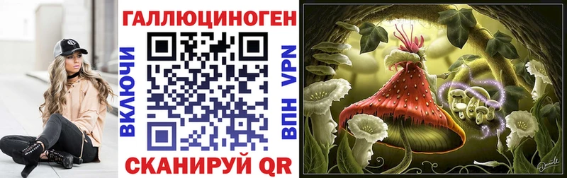 купить  цена  Красногорск  Псилоцибиновые грибы мицелий 