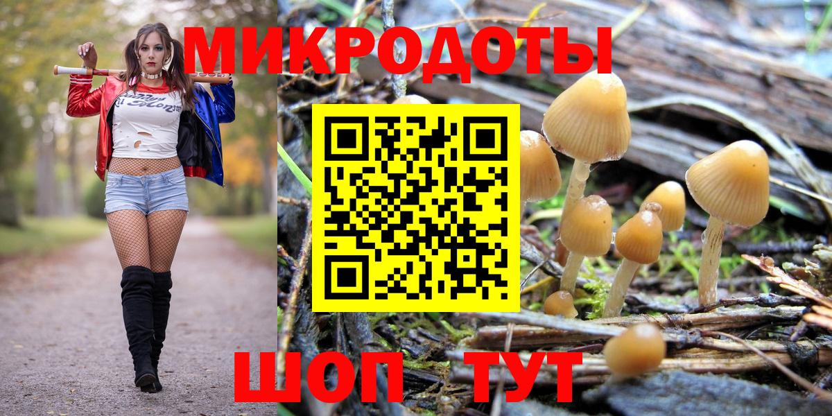 дарнет шоп  Галлюциногенные грибы GOLDEN TEACHER  Вход с VPN  Красногорск 